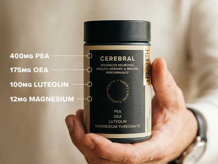 cerebral ingredients