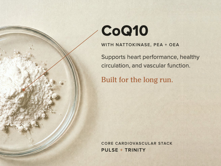 Ingredient stack of CoQ10 and Nattokinase